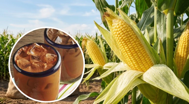 5 bebidas refrescantes que se hacen con maíz para mitigar el calor