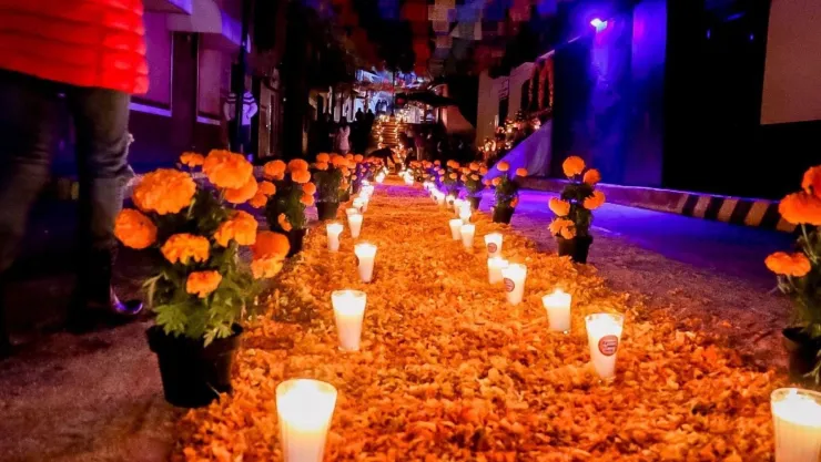 Camino de la luz.jpg