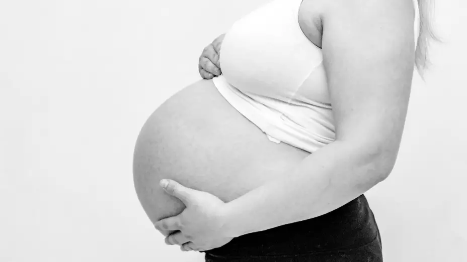 qué es Ley maternidad