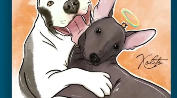 hachi y xolito envenenados.jpg