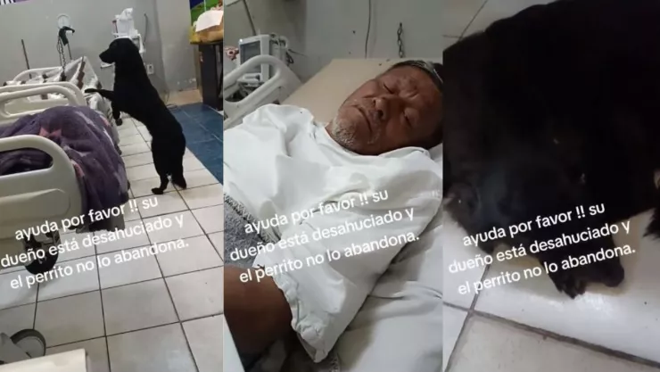 Hombre desahuciado en hospital ruega que adopten a su perro
