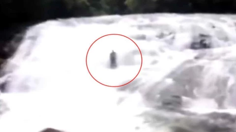 figura cascada selva amazónica brasil