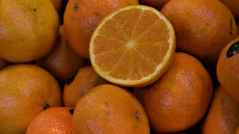 Feria de la Naranja en Oxkutzcab 2024: Fechas y cómo llegar