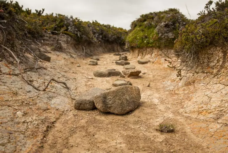 La última vez que una sequía impactó a México dejó al 60% del territorio sin agua.