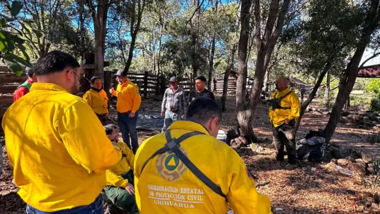 incendios forestales