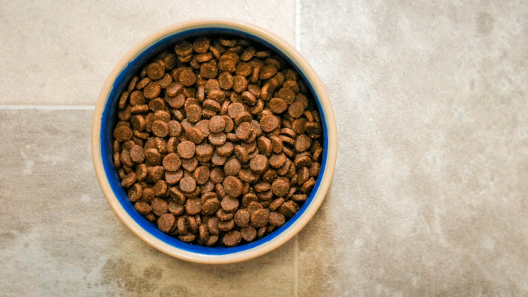 ALIMENTO PARA PERRO FDA