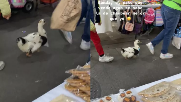 Pato vende aguas en el Centro y se hace famoso