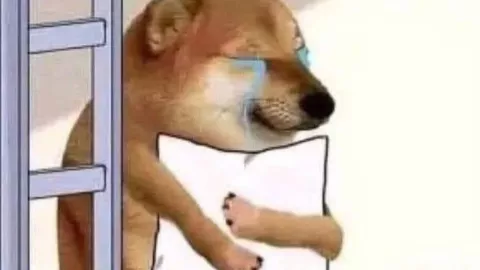 Sismo hoy de madrugada deja memes en redes sociales