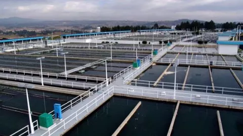 El Sistema Cutzamala continúa su recuperación gracias a las lluvias por lo que se encuentra en un 43% de capacidad de almacenamiento total.