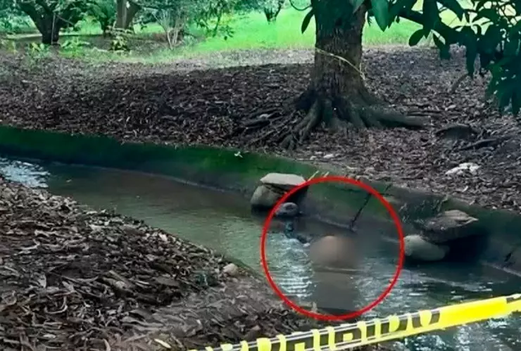 Encuentran cuerpo decapitado en la colonia La Cigüeña en Tapachula