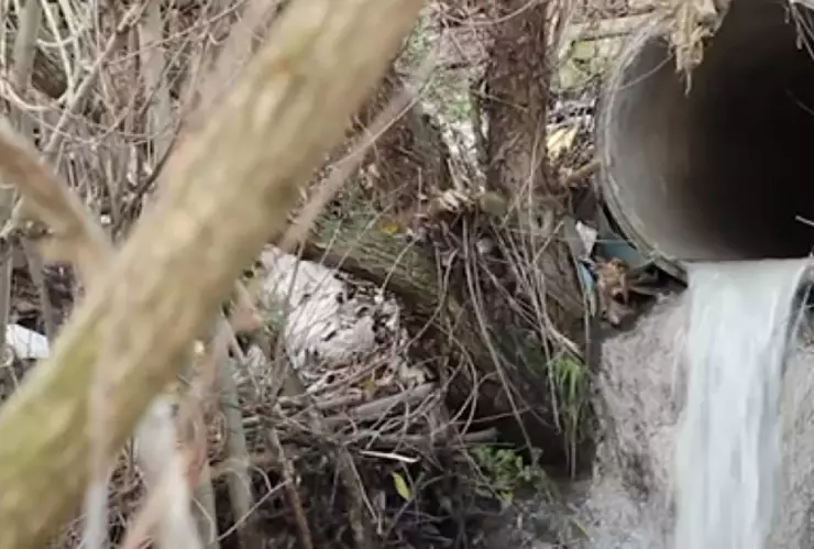 La iniciativa de ley del Partido Verde Ecologista de México que protege al medio ambiente