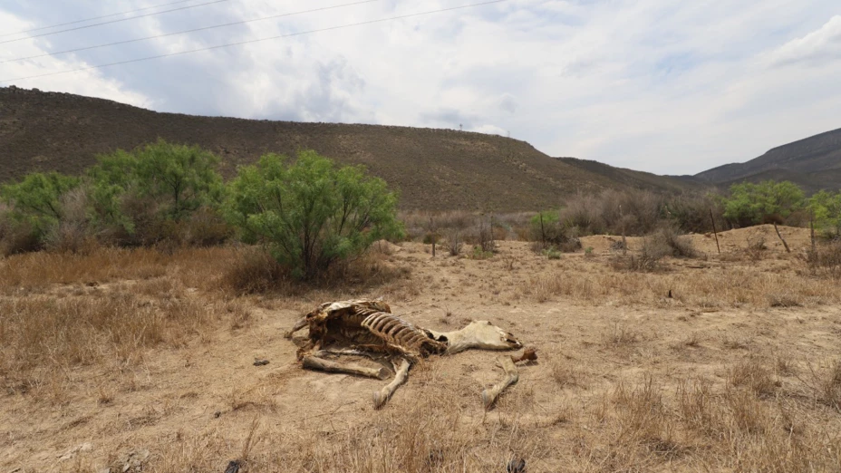 Sequía en México.