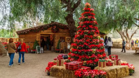 Villa Jengibre 2023: ¿Dónde se ubica, cuánto cuesta y cuál es el horario?