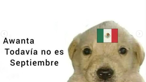 Memes alerta sísmica