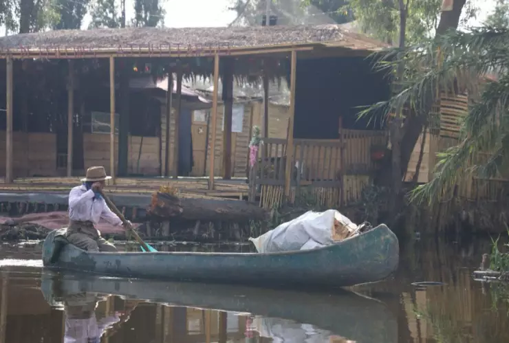 Uber axolote México Xochimilco