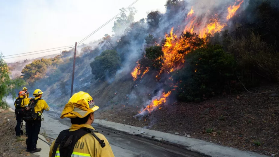 Conafor CDMX_incendio.jpg