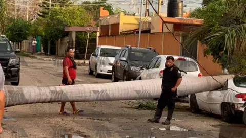 Fuertes lluvias en Mérida causan derrumbe de palmera sobre auto estacionado
