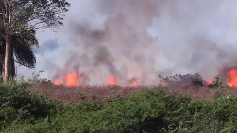 Temporada de Incendios en Guerrero