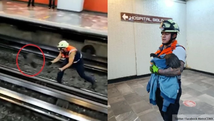 Gallina provoca suspensión del Metro en CDMX