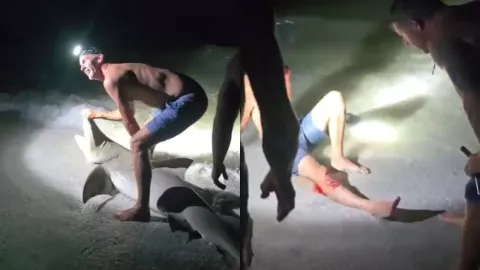 VIDEO | Tiburón ataca a pescador que quería tomarse una foto con él en Florida, Estados Unidos