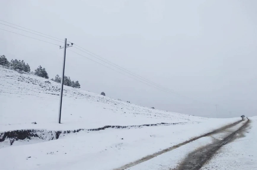 Nevadas en Nuevo León