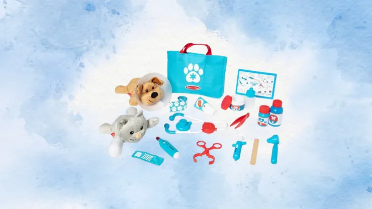 Set de juego de Veterinario