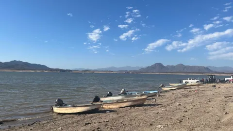 Presa Sanalona