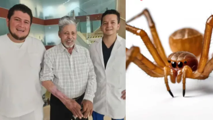 Doctores salvan brazo de abuelito por picadura de araña violinista en Aguascalientes