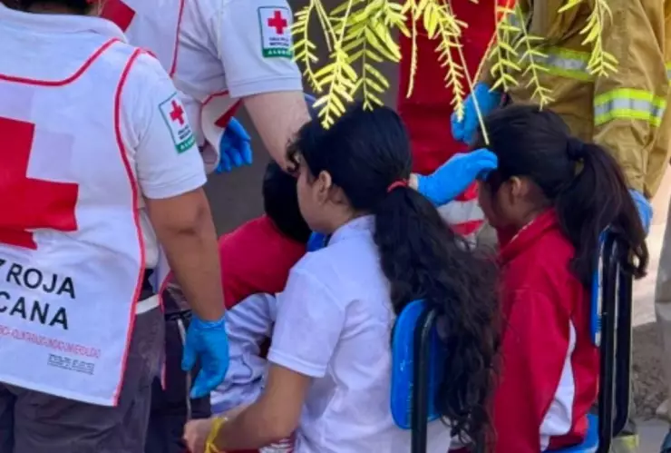 Intoxicación en primarias de Tijuana: niños afectados tras consumir alimentos en mal estado