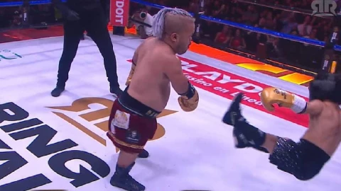 Abelito vs Bull Terrier Ring Royale.jpg