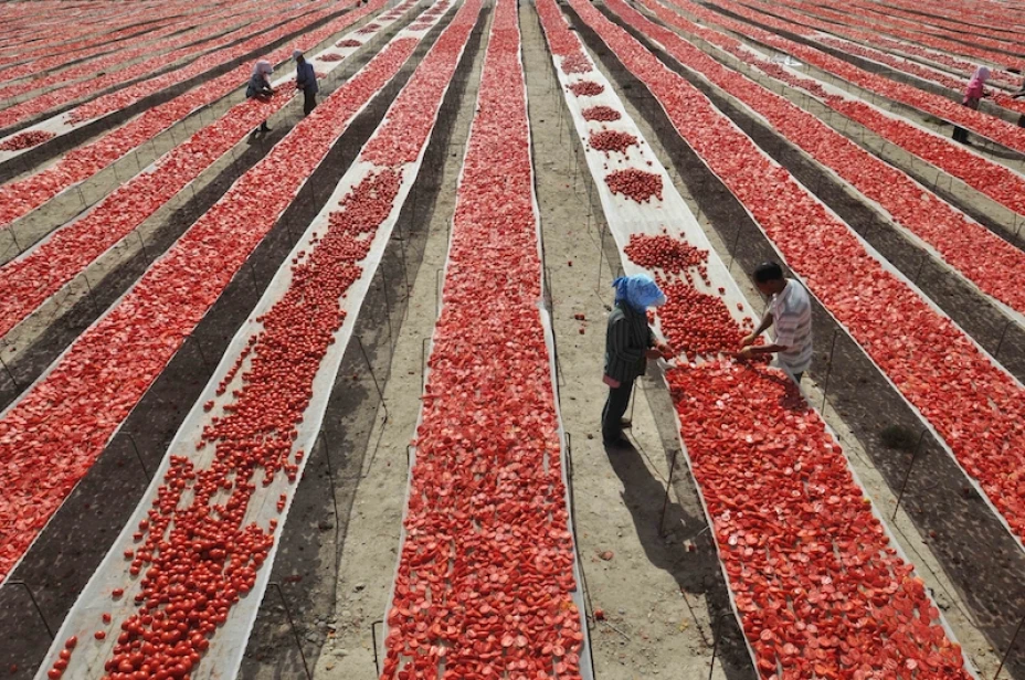 México tomate