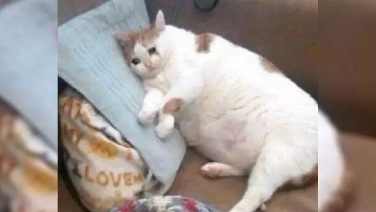 ¿Cuántos kilos puedes aumentar por fiestas decembrinas_.jpg