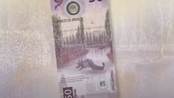 Dan hasta 6 MILLONES por este inusual billete de 50 pesos con estas características