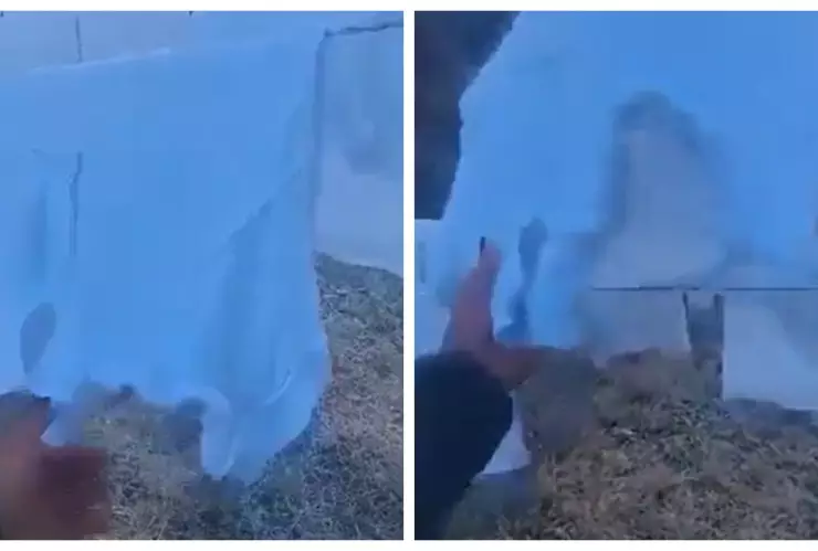 Heladas extremas congelan lso campos y la ropa en la Mixteca de Oaxaca