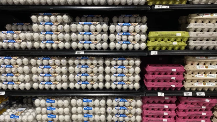 Precio del kilo huevo en México