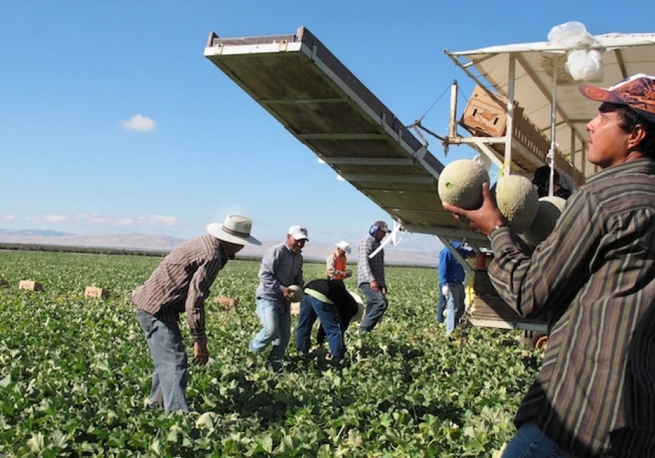 “Es importante y necesario tener un sistema que funcione y que saque a los que trabajan en agricultura fuera de las sombras para ofrecer más estabilidad a esa fuerza laboral”, expresó Vilsack