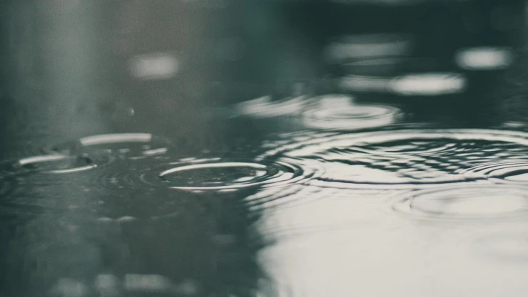 Lluvias en Jalisco hoy 3 de diciembre 2025.jpg