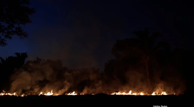 selva amazonas incendios destrucción.jpg