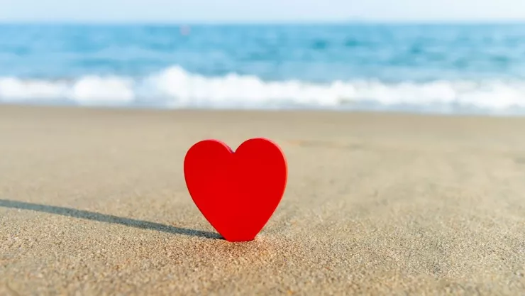 14 de febrero sin pareja qué hacer en San Valentín si estás soltero