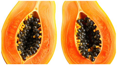 licuados nutritivos con avena y papaya