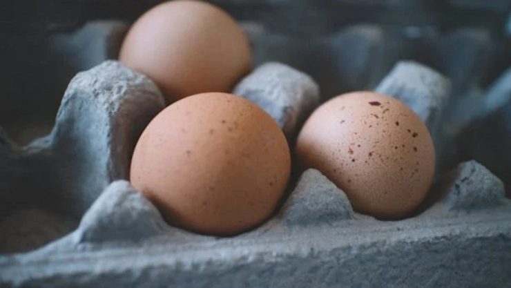 Pese-a-prohibiciones-aumenta-el-cruce-ilegal-de-huevos-desde-México-hacia-Estados-Unidos