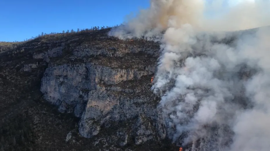 INCENDIO FORESTAL EN ARTEAGA_Comunicación Coahuila .jpg