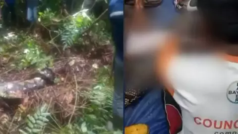 VIDEO: ¡Impactante! Pitón gigante devora a una mujer