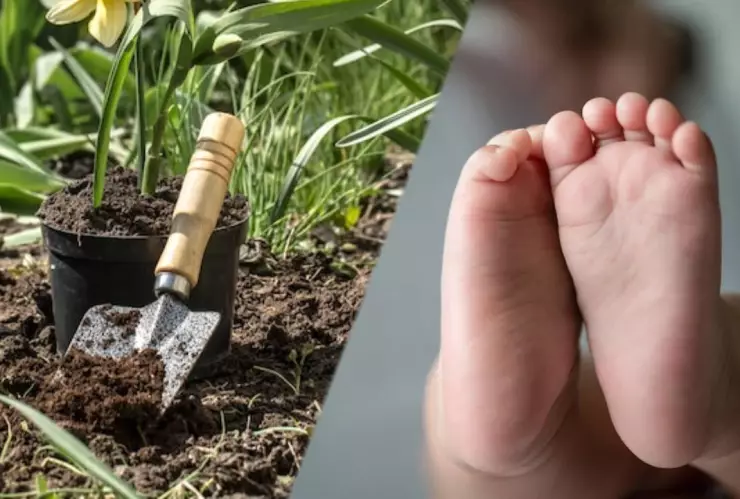Hombre mata a su sobrina con herramienta de jardinería.jpg