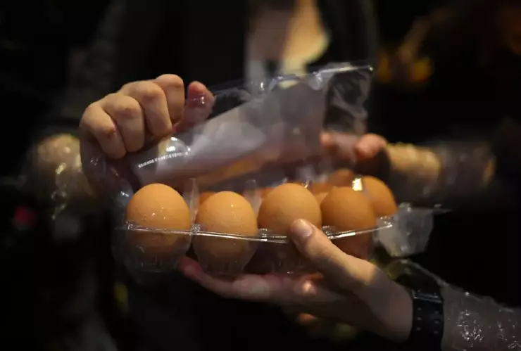 Lanzar huevos Halloween Chihuahua