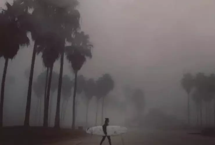 La vez que una niebla tóxica provocó ceguera y enfermedades