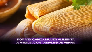 Mujer alimentaba con tamales de perro a familia de su esposo en Tamaulipas.
