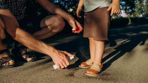 Este repelente de moscas es el mejor y más natural