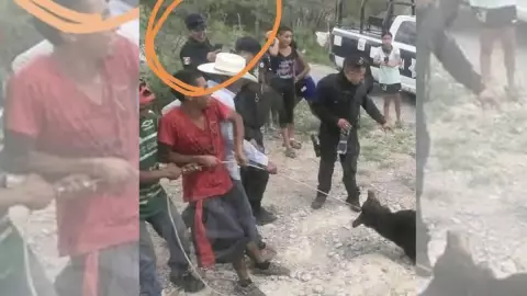 Torturan hasta la muerte a oso negro en Coahuila