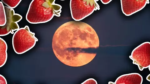 Luna de Fresa 2025_ Fecha y hora exacta para ver la luna llena de junio.jpg